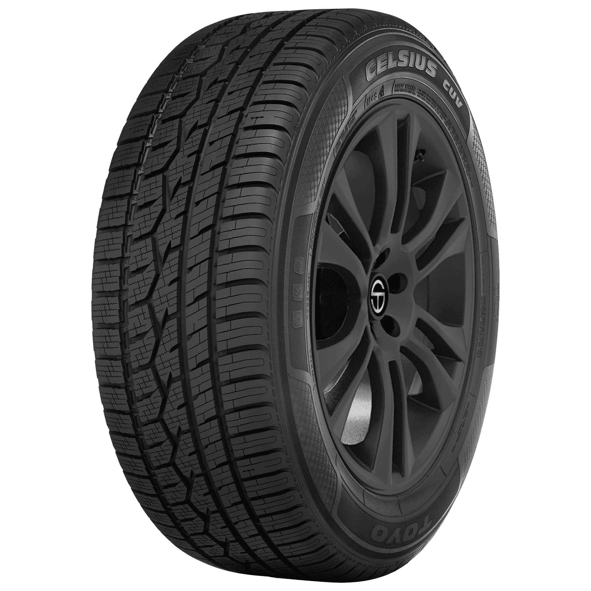 Toyo